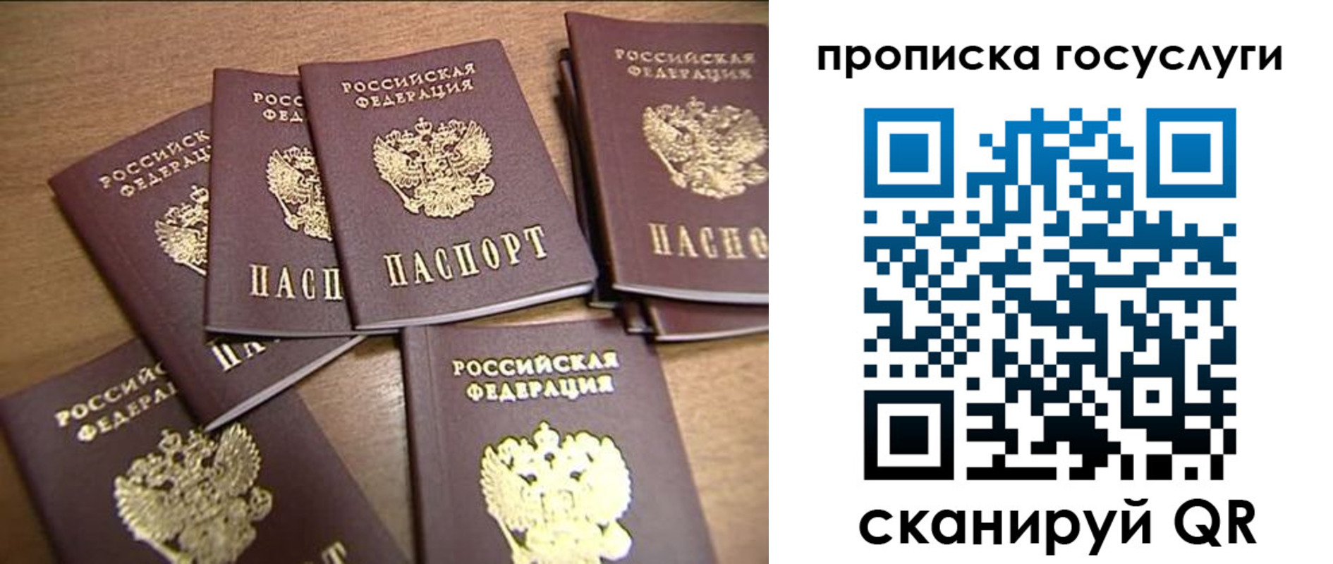 прописка ребенка в Нелидово